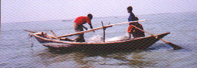 Fishboat.jpg (14137 bytes)